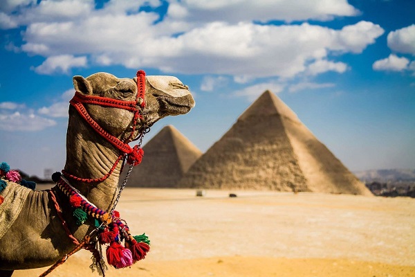 В Египте чаевые – бакшиш